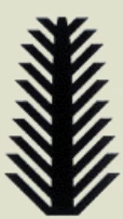 Tree of Life: Ancestors, roots & memory